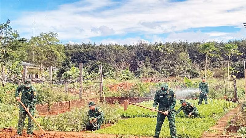 Cán bộ, chiến sĩ Đồn Biên phòng Ia Đal tăng gia sản xuất sau giờ tuần tra, huấn luyện.