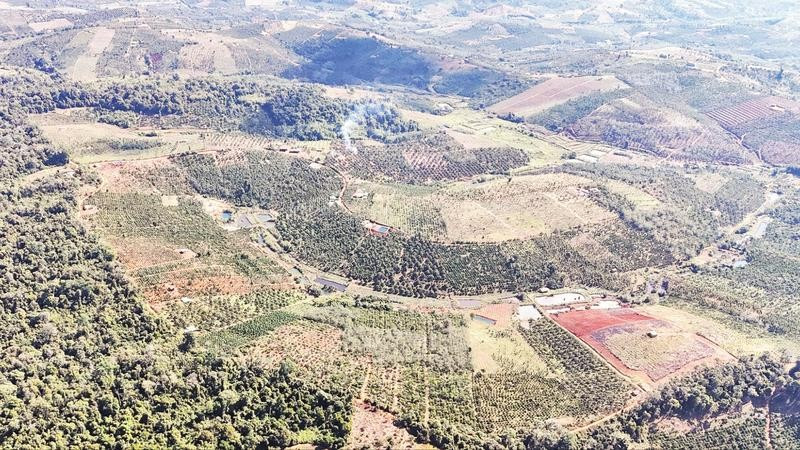 Khu vực trảng lớn Lách Me, xã Trường Xuân đang được rà soát, đề xuất cấp giấy chứng nhận quyền sử dụng đất cho nhiều hộ dân bon Bu N'Đóh.