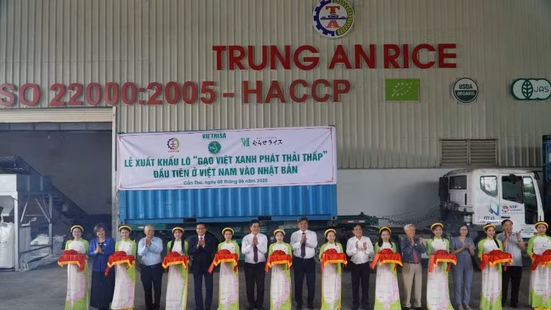 Danh nghiệp tại Cần Thơ xuất khẩu thành công lô gạo Japonica mang thương hiệu “Gạo Việt xanh phát thải thấp” sang thị trường Nhật Bản.