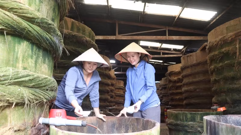Sản xuất nước mắm truyền thống tại cơ sở nước mắm Hòn Cau (phường Vũng Tàu, Thành phố Hồ Chí Minh)