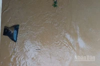 Nước lũ cuốn trôi ti-vi của người dân.