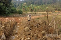 Sáng 9/1, tại hiện trường, phóng viên Báo Nhân Dân thấy vắng bóng nhân lực và thiết bị của đơn vị thi công.