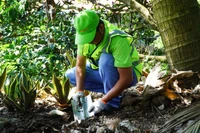 Các tình nguyện viên chuẩn bị quy trình trồng cây và gieo giống cây thực phẩm từ sáng kiến Tái chế rác thải thực phẩm.