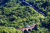 Tổng công ty Đường sắt Việt Nam triển khai hoạt động vận chuyển miễn phí hàng hóa cứu trợ gửi đến đồng bào vùng bị ảnh hưởng.