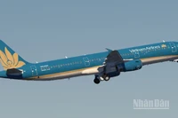 Vietnam Airlines sẽ hoàn thành toàn bộ việc cập nhật phần mềm trước yêu cầu, hoạt động khai thác của Vietnam Airlines Group trong ngày 29/11 và từ ngày 30/11 diễn ra bình thường và không bị ảnh hưởng.