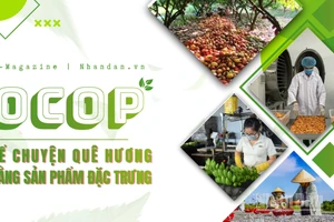 Kể chuyện quê hương bằng sản phẩm đặc trưng