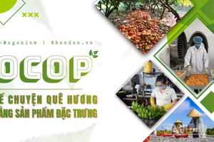 Kể chuyện quê hương bằng sản phẩm đặc trưng