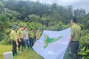 Ban quản lý Khu bảo tồn thiên nhiên Mường La thực hiện công tác tuần tra bảo vệ rừng. (Ảnh: MINH NGHĨA)