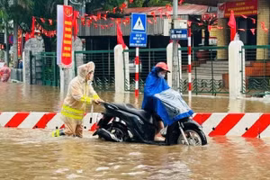 Hình ảnh đẹp trong mưa bão.