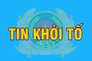 Khởi tố 5 vụ án xâm phạm bản quyền tác giả, quyền liên quan.