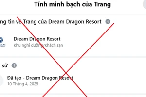 Hình ảnh page giả, mạo danh Dream Dragon Resort.