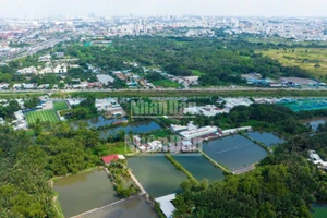 Dự án Khu Liên hợp Thể dục thể thao quốc gia Rạch Chiếc sẽ được hồi sinh trong năm 2025.