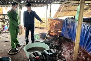 Hiện trường vi phạm.