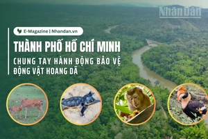 Thành phố Hồ Chí Minh chung tay hành động bảo vệ động vật hoang dã