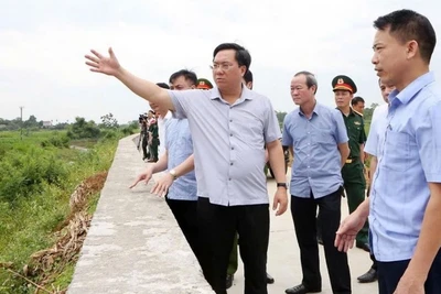 Chủ tịch Ủy ban nhân dân tỉnh Trần Duy Đông kiểm tra vị trí xung yếu đê ngòi Giành, xã Tiên Lương.