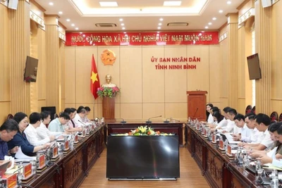 Các đại biểu dự buổi làm việc.