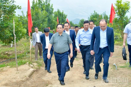 Thủ tướng Chính phủ Phạm Minh Chính thăm mô hình phát triển kinh tế nông nghiệp, trồng cây mắc-ca tại xã Pu Nhi. (Ảnh: THANH GIANG)