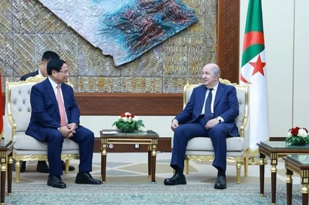 Thủ tướng Chính phủ Phạm Minh Chính hội kiến với Tổng thống Algeria Abdelmadjid Tebboune. (Ảnh: NHẬT BẮC/VGP)