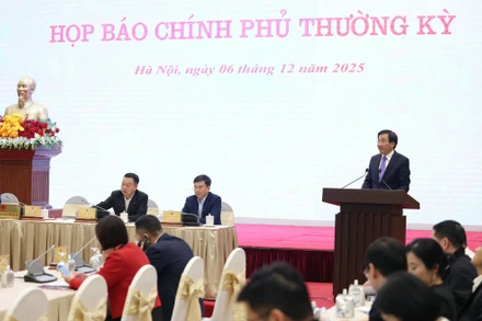Họp báo Chính phủ thường kỳ tháng 11. (Ảnh: VGP)