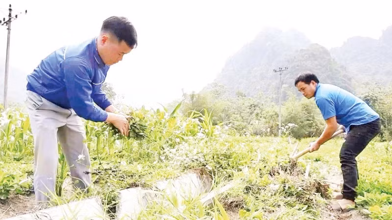 Đoàn viên, thanh niên dọn dẹp, vệ sinh kênh mương nội đồng.