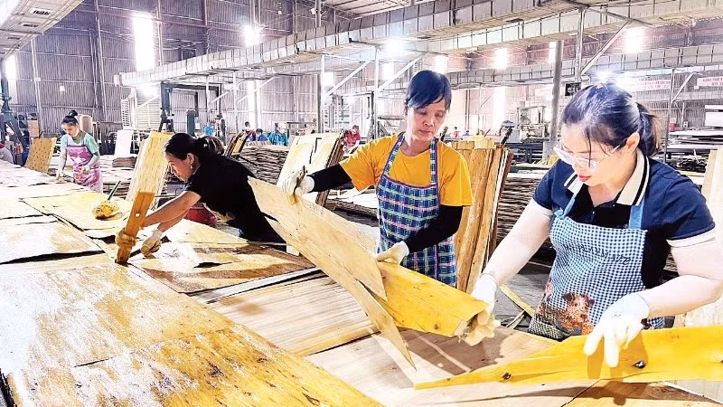 Cải cách hành chính sâu rộng đã tạo thuận lợi cho cộng đồng doanh nghiệp hoạt động trên địa bàn Thái Nguyên. Trong ảnh: Hoạt động chế biến gỗ tại Công ty TNHH Lechenwood Việt Nam, Khu công nghiệp Thanh Bình (Ảnh TUẤN SƠN)