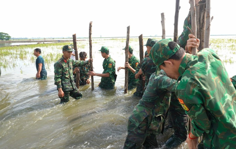 Cán bộ, chiến sĩ dân quân thường trực, công an, biên phòng hỗ trợ người dân gia cố đê bao bảo vệ lúa.