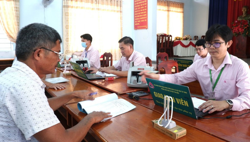 Hội cựu chiến binh xã Tân Thạnh đứng ra vay vốn Ngân hàng chính sách để cho hội viên mượn vốn nuôi bò. 