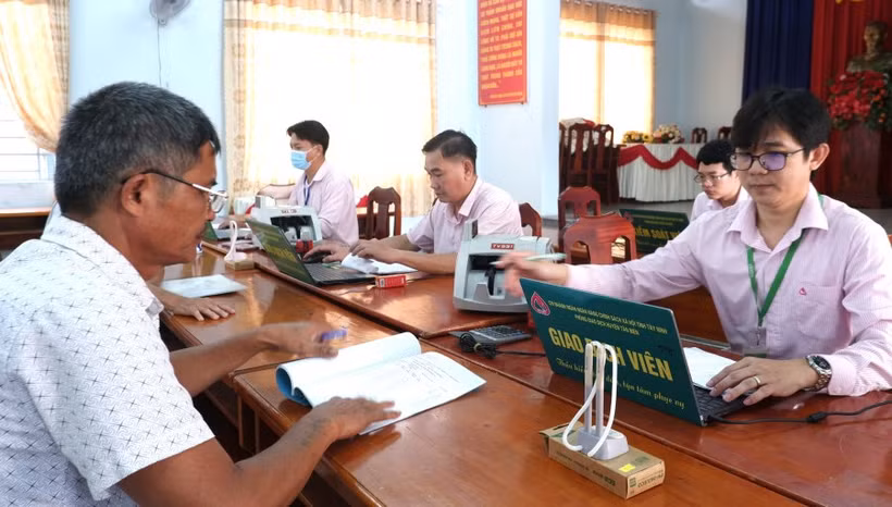 Hội cựu chiến binh xã Tân Thạnh đứng ra vay vốn Ngân hàng chính sách để cho hội viên mượn vốn nuôi bò. 