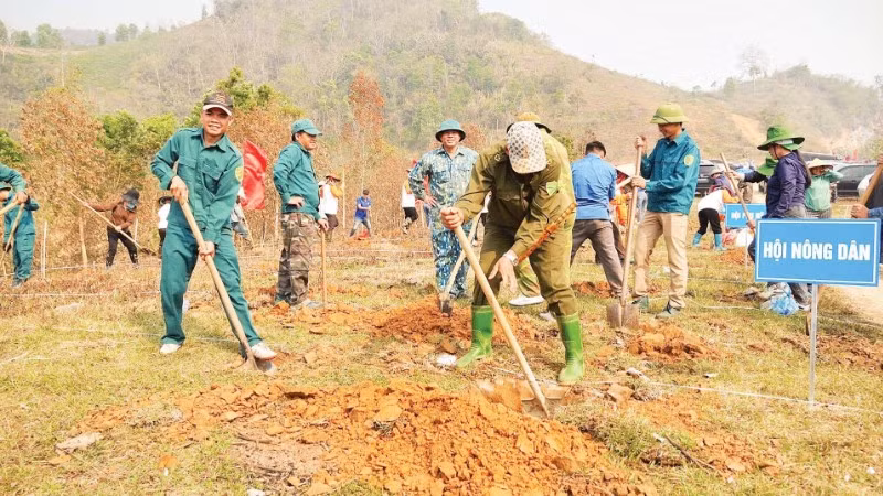 Cán bộ, chiến sĩ và nhân dân bản Pá Liếng, xã Mường Ảng, tỉnh Điện Biên ra quân đào hố trồng cây cà-phê, mắc-ca theo chủ trương chuyển đổi cơ cấu cây trồng đã được Ban Chấp hành Đảng bộ tỉnh Điện Biên khóa XV xác định.