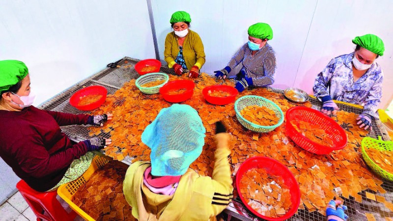 Sự chuyển mình của làng nghề thể hiện qua những dây chuyền khép kín, hiện đại tại Công ty Vĩnh Tài. Mỗi ngày, đơn vị này cung ứng ra thị trường hơn một tấn bánh thành phẩm.