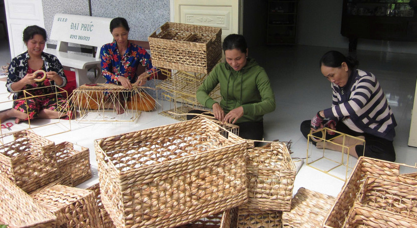 Nghề đan giỏ lục bình giúp nhiều phụ nữ ở Cần Thơ tăng thu nhập, ổn định cuộc sống.