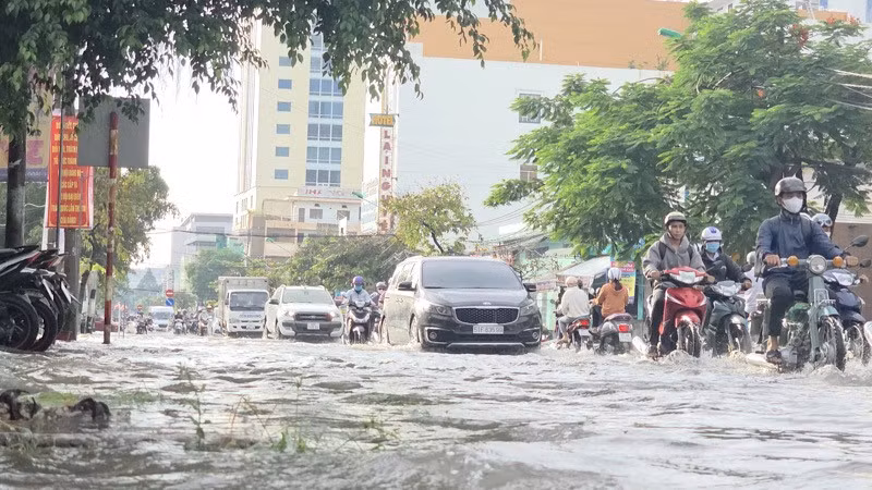 Nước ngập đường Cách mạng tháng Tám, Cần Thơ.