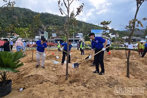 Các bạn đoàn viên thanh niên tham gia trồng cây.