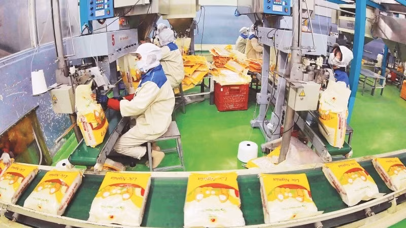 Đóng gói gạo xuất khẩu tại Công ty cổ phần Tập đoàn Lộc Trời. (Ảnh: TTXVN)