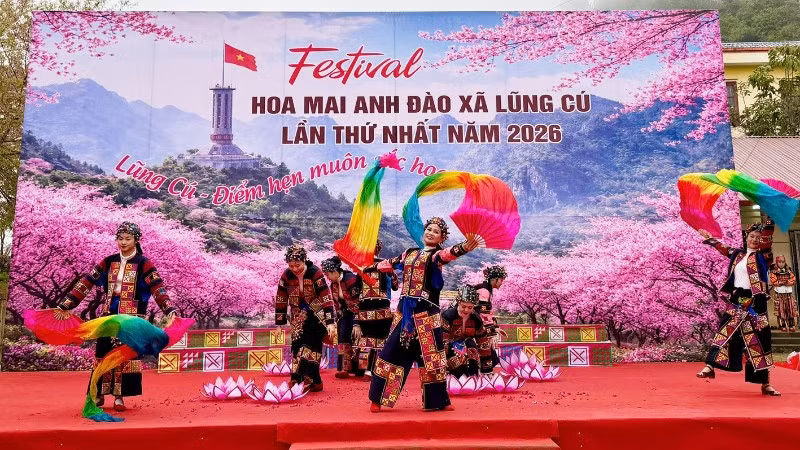 Xã Lũng Cú khai mạc Festival Hoa mai anh đào năm 2026.