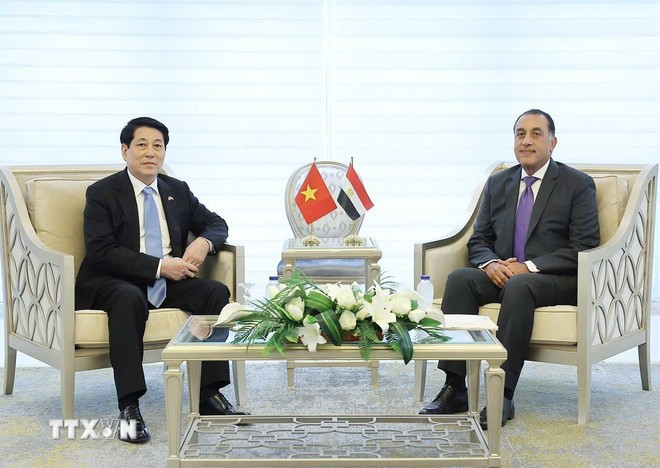 Chủ tịch nước Lương Cường hội kiến Thủ tướng Ai Cập Mostafa Madbouly. (Ảnh: Lâm Khánh/TTXVN) chu-tich-nuoc-luong-cuong-hoi-kien-thu-tuong-ai-cap-mostafa-madbouly-4.jpg