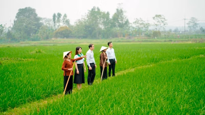 Bảo hiểm giúp giảm gánh nặng tài chính cho cả người dân và ngân sách quốc gia.