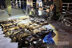 Tang vật được phát hiện trong đêm của các đối tượng trộm chó.