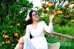 Điểm tham quan vườn quýt hồng Bá Chuốt ngày đầu mở cửa phục vụ khách.