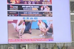 Tang vật dùng để phát trực tuyến các trận đá gà.