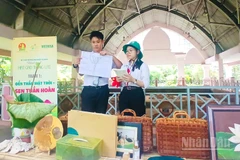 Cùng tìm hiểu về vòng tuần hoàn của sen