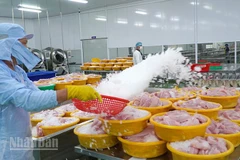 Chế biến cá tra xuất khẩu tại một doanh nghiệp thuộc phường Sa Đéc, tỉnh Đồng Tháp. (Ảnh: HỮU NGHĨA)