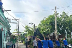 Chính quyền địa phương xã Tân Khánh Trung cùng bà con dọn dẹp, khắc phục hậu quả sau dông lốc, mưa lớn.
