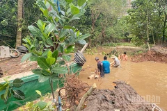 Phương tiện được huy động đến hiện trường cùng người dân thực hiện gia cố các đoạn đê bị vỡ.