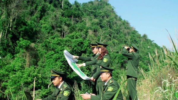 Cán bộ ngành lâm nghiệp và kiểm lâm ứng dụng chuyển đổi số trong quản lý, bảo vệ rừng.