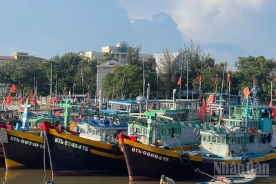 Tàu cá tại vùng biển Phan Thiết.
