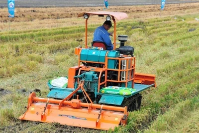 Công ty phân bón Bình Điền.