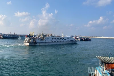 Các tàu cao tốc tạm ngưng hoạt động.