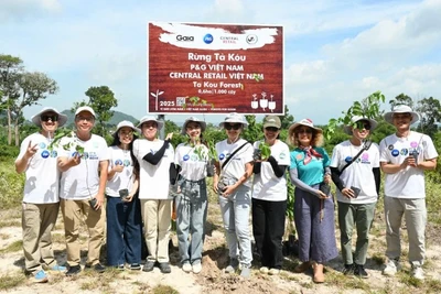 Các tình nguyện viên tham gia trồng rừng.