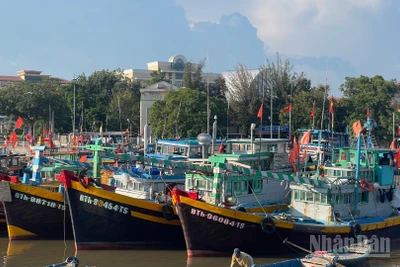 Tăng cường tuyên truyền tàu cá đánh bắt hợp pháp